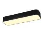 TRIO - ASTERION Celing Light