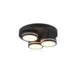 TRIO - FRANKLIN Ceiling Lamp