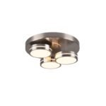 TRIO - FRANKLIN Ceiling Lamp