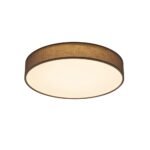 TRIO - LUGANO Ceiling Lamp